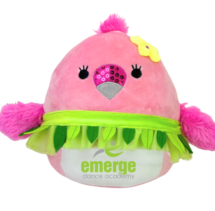 2025 Emerge Dance Flamingo